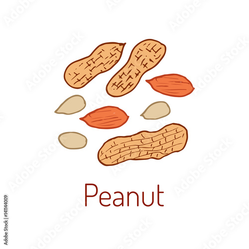 Peanuts Hand drawn