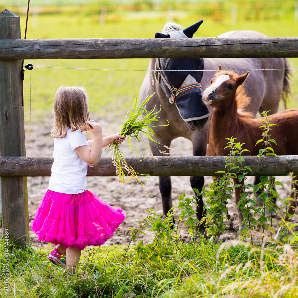 Little girl feeding baby horse on ranch Stock Photo Adobe Stock