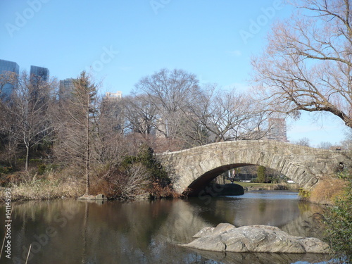 View from Central Park NYC © Sandra
