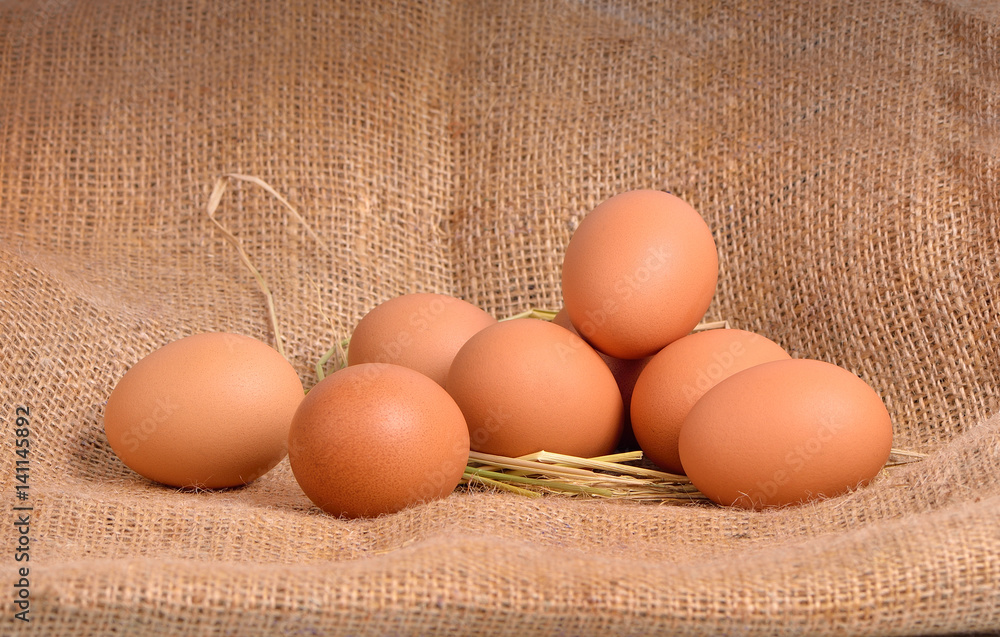 Chicken Egg , egg on a brown sackcloth Chicken Egg , egg on a brown sackcloth