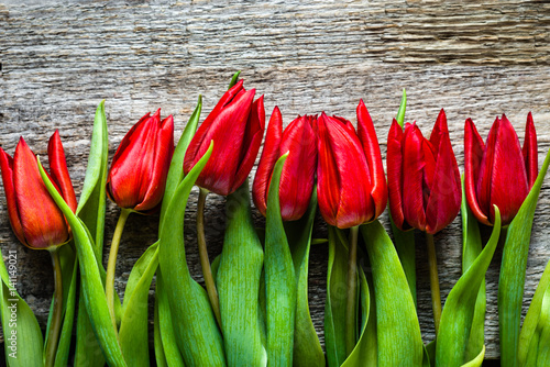 Fototapeta Naklejka Na Ścianę i Meble -  Red tulips, mothers day background