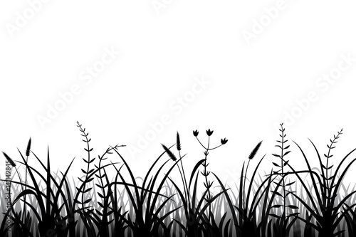 Meadow grass silhouette black and white