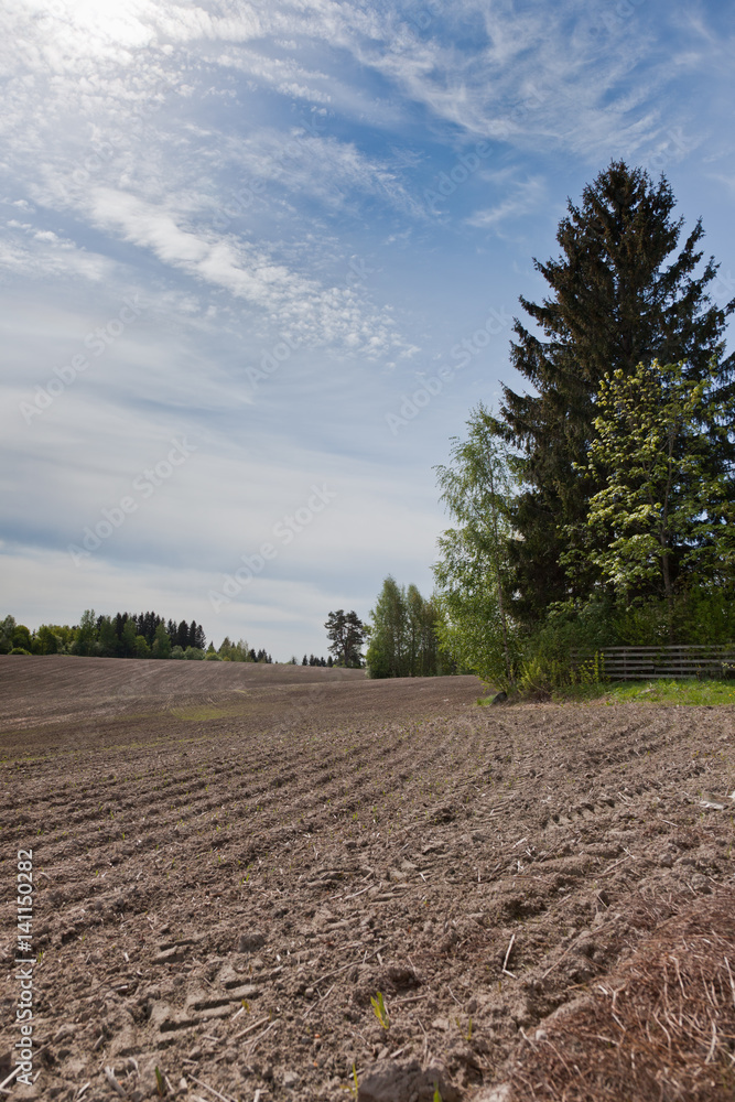 Obraz premium Dry farmland