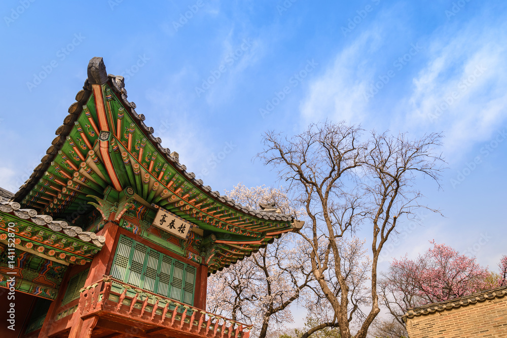 Fototapeta premium Spring Cherry Blossom w Changdeokgung Palace, Seul, Korea Południowa