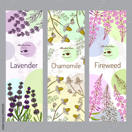 Herbal tea collection. Fireweed, lavender, chamomile 