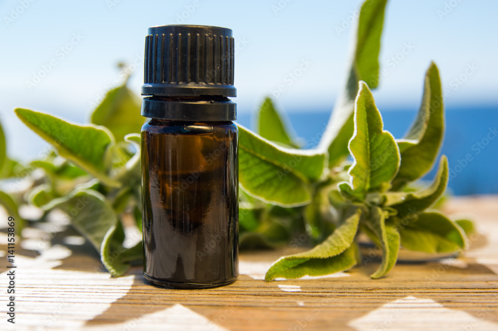 Dalmatian or Greek Sage (Salvia fruticosa) and essential oil bottle Dalmatian or Greek Sage (Salvia fruticosa) and essential oil bottle