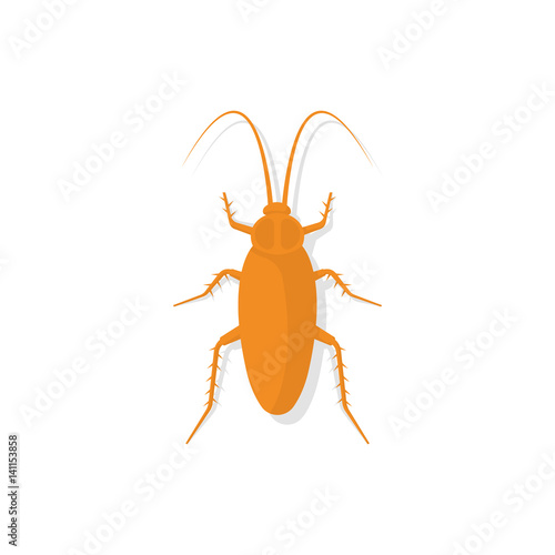 Cockroach icon, isolated on white background. Kitchen bug. Insect dirty. Unhygienic concept. Vector illustration flat design.