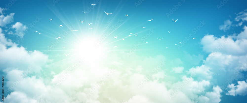 Fototapeta premium Ptaki latają we wschodzącym słońcu