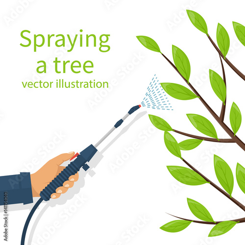 Spraying pesticide. Processing of trees. Insecticide. Farmer exterminator hold sprayer fertilizer in hand. Vector flat design. Isolated on white background. Chemicals in garden. Deciduous branches.