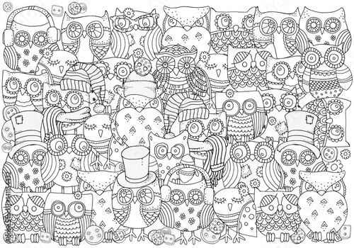 Adult coloring book. Owls.