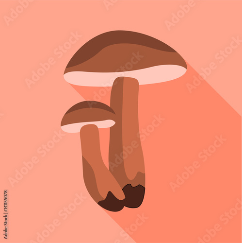 Leccinum scabrum mushroom icon, flat style