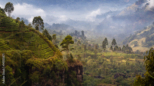 Landscape of Mountains and tea plantations with morning fog at Nuwara Eliya, Sri Lanka photo