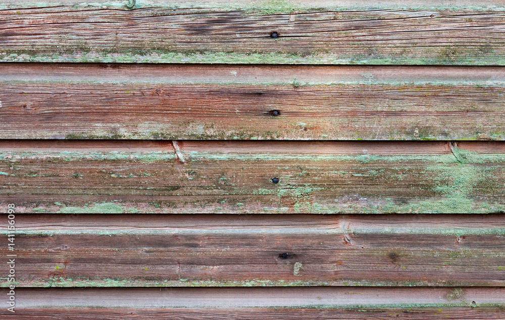 Obraz premium Horizontal plank wall with green mold