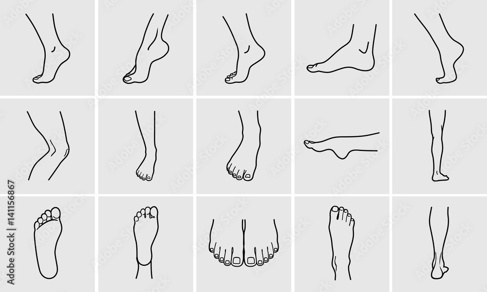Vecteur Stock Human body parts. Foot care Icons Set. Vector