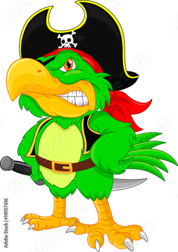 pirate parrot cartoon