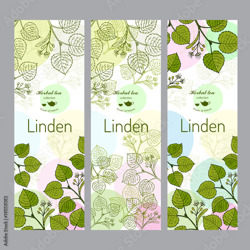 Herbal tea collection. Linden banner set.