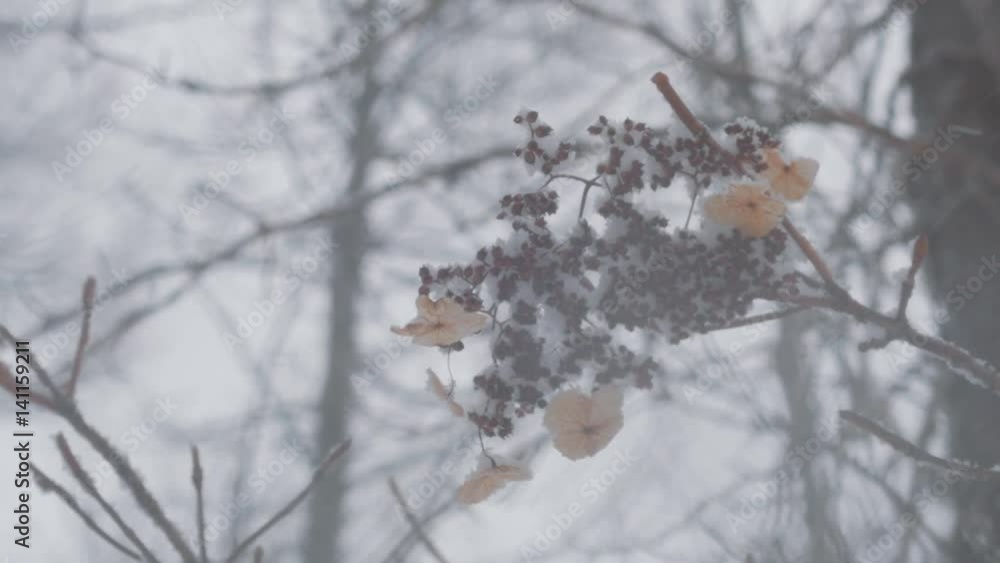 Snow mountainside in Japan 059 Slow motion 50% Snow mountainside in Japan 059 Slow motion 50%