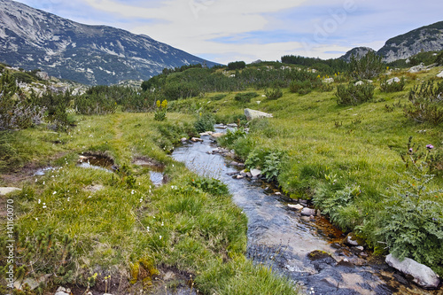 Mountain river near Popovo lake, Pirin mountain, Bulgaria