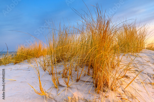Fototapeta Naklejka Na Ścianę i Meble -  Grass, white sand dunes beach in the morning on the shore of the Baltic Sea. Poland.	