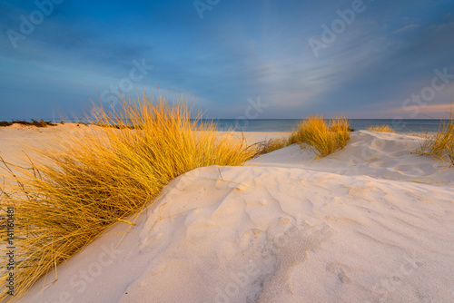 Grass, white sand dunes beach in the morning on the shore of the Baltic Sea. Poland. 