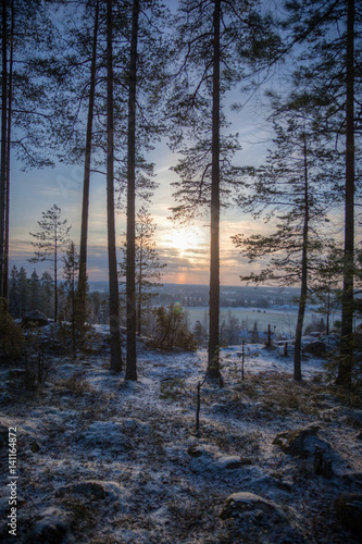 Trees on top of the hill