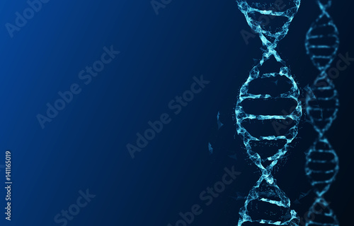 Molecules of DNA