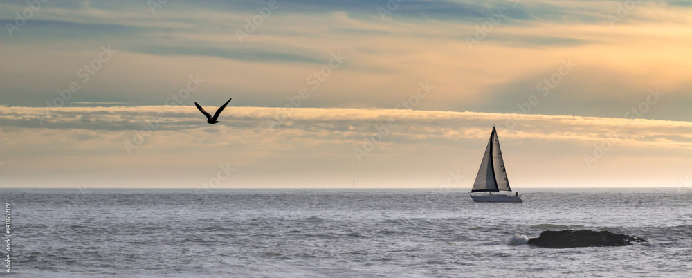 Fototapeta premium Żaglówka i seagull w Bretanii