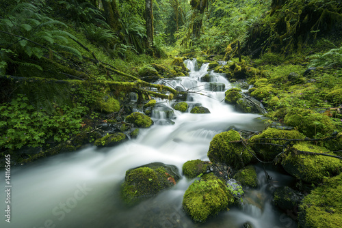 Wilde Angle Waterfall Pacific North West