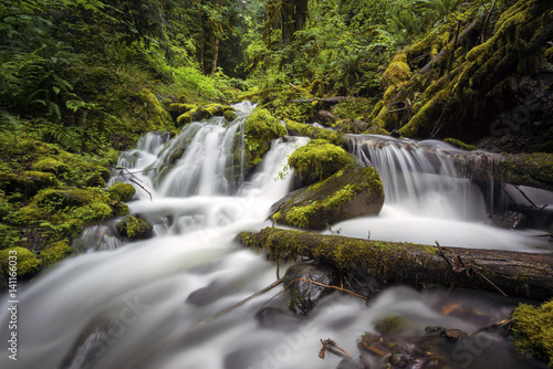 Deer Horn Creek Falls  Washington State  USA