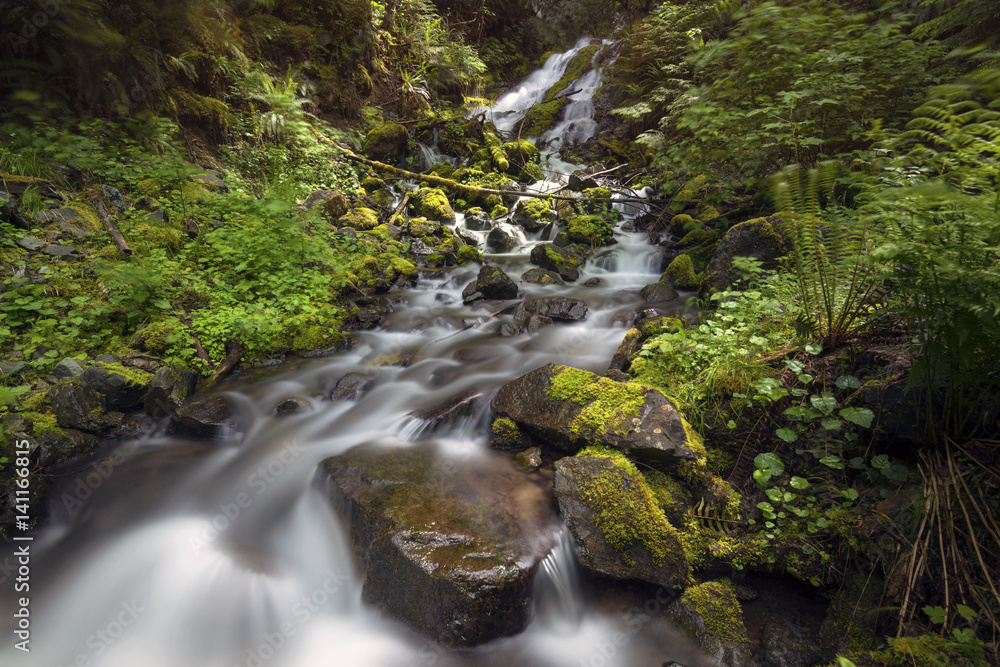 Cascade Creek, Mt. Baker Area, Washington State, USA.