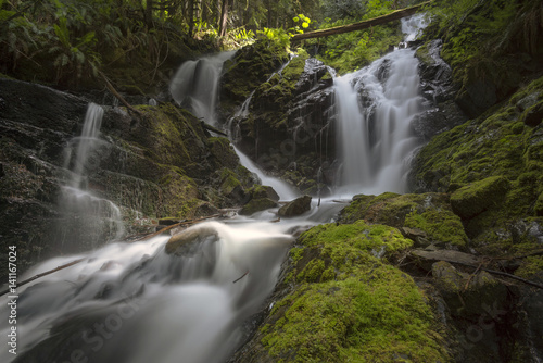 Cascade Creek, Washington State, USA © Jason