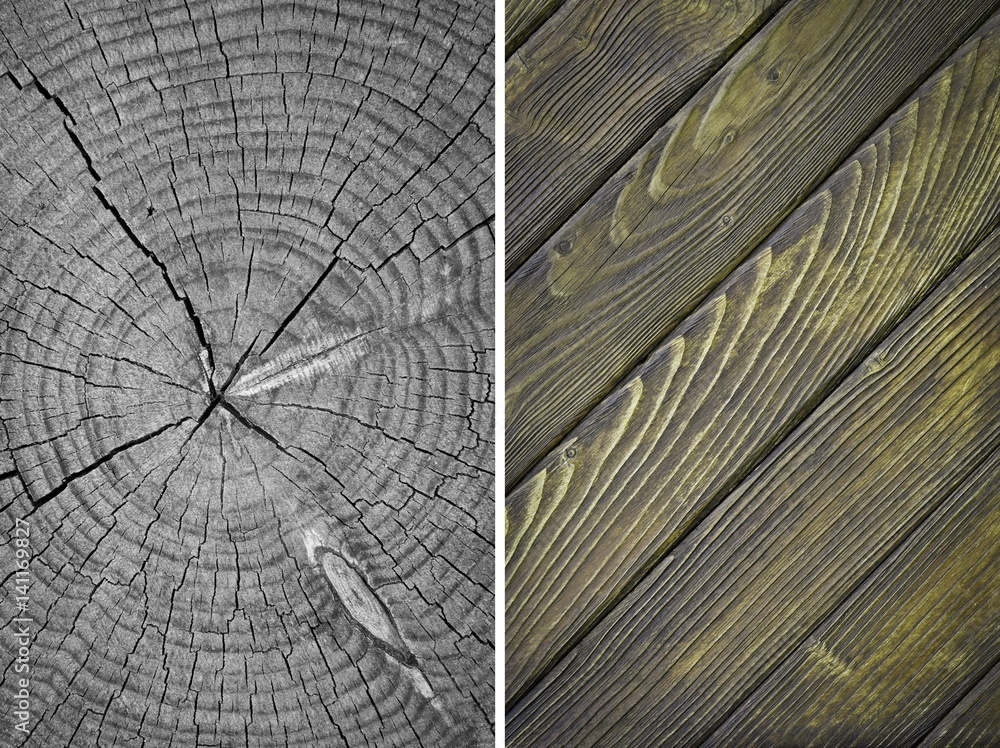 Fototapeta premium Wood texture