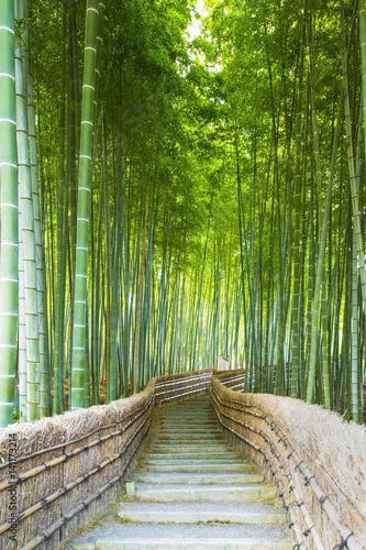 Obraz Bambusowe gaje, bambusowy las w Arashiyama, Kioto Japonia.
