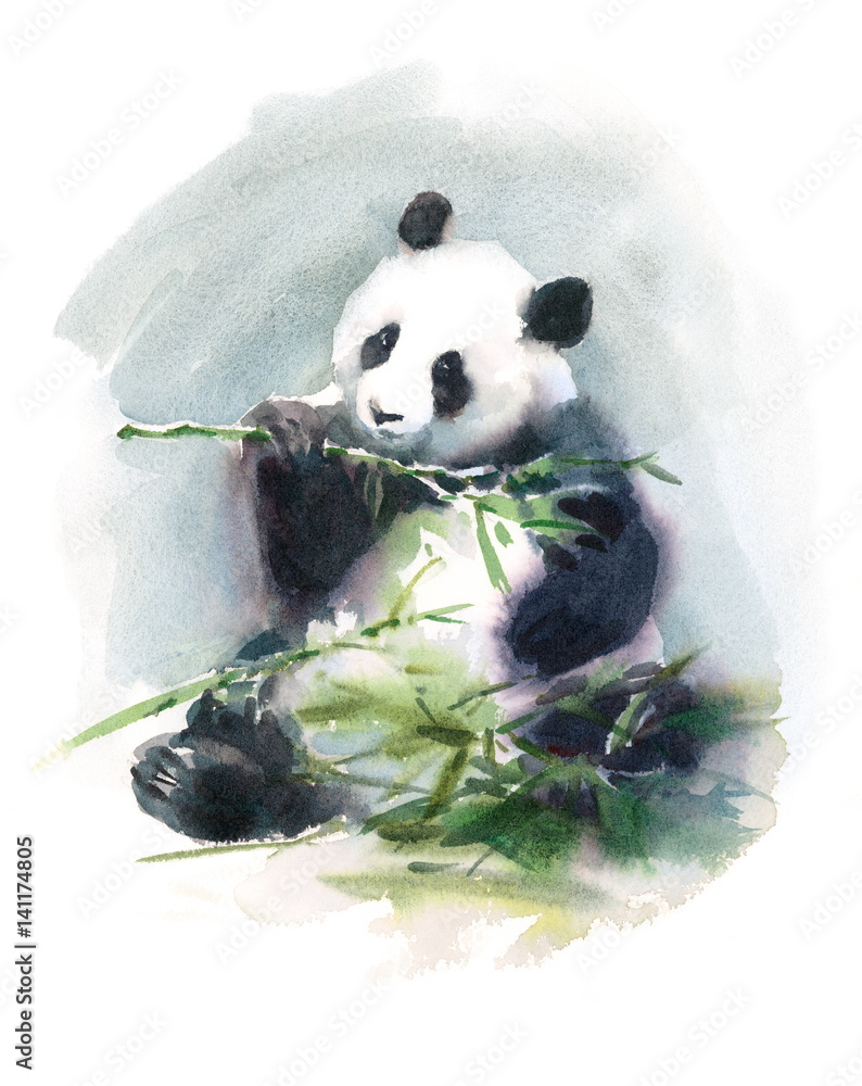 Obraz premium Watercolor Panda Eating Bamboo Animal Illustration Hand Drawn Wildlife