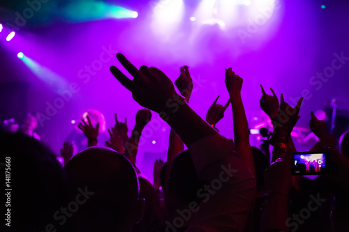 Wallpaper Mural audience at concert at nightclub Torontodigital.ca