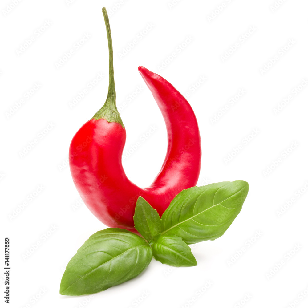 red chili or chilli cayenne pepper isolated on white background cutout red chili or chilli cayenne pepper isolated on white background cutout