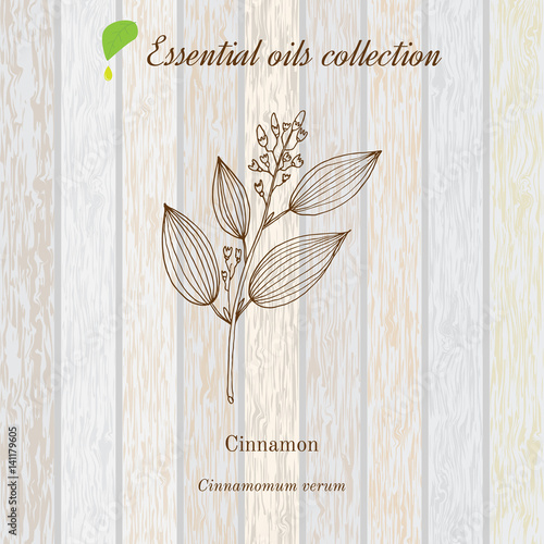 Cinnamon, essential oil label, aromatic plant