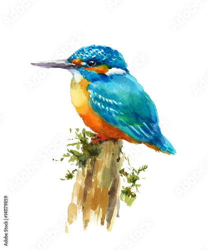 Watercolor Bird Kingfisher Sitting on the Stump Hand Painted Wildlife Illustration isolated on white background