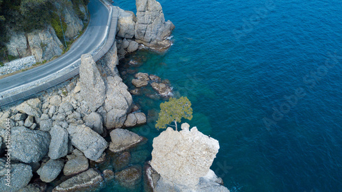 Lo Scoglio della Cadrega, pino marittimo, albero, vista aerea, Lungomare tra Santa Margherita Ligure e Portofino, Paraggi, Liguria, Italia photo