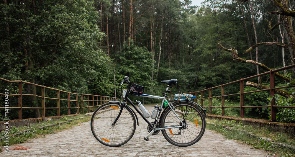 Bicycle in the forest