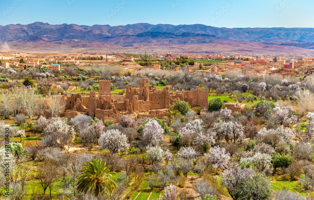 Fototapeta premium Ruins of a Kasbah in the Valley of Roses, Morocco