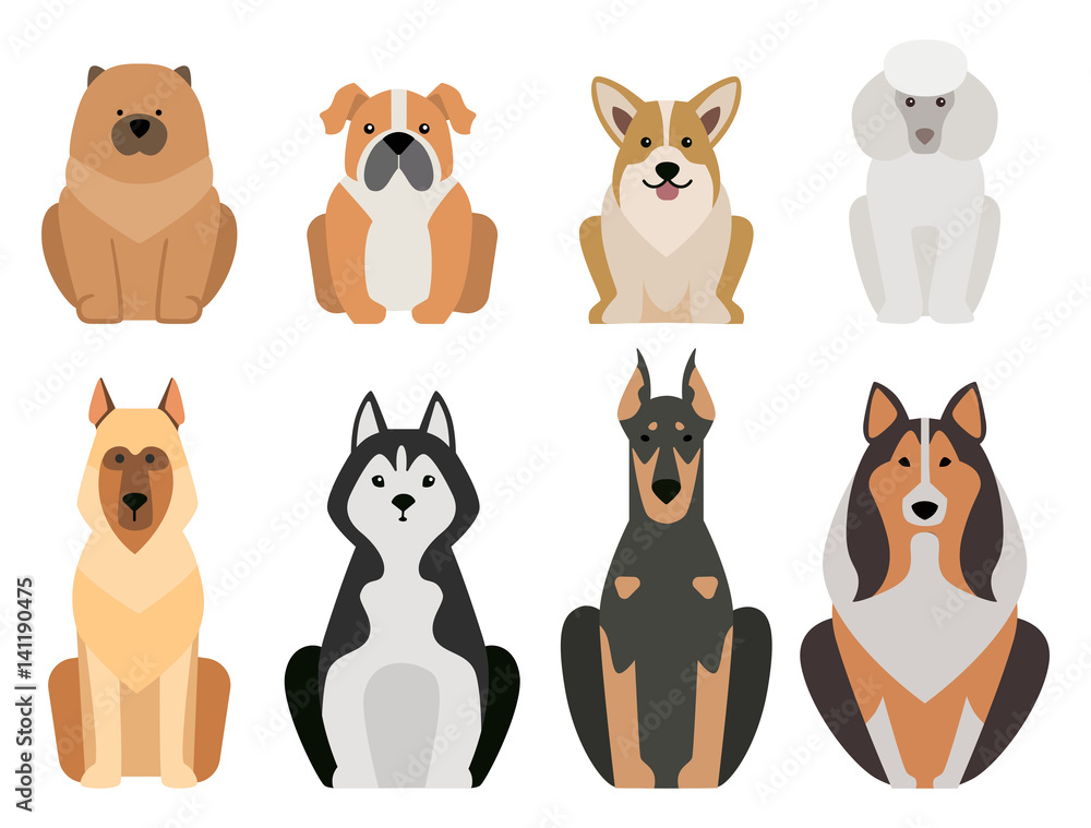 Obraz premium Funny cartoon dog character bread illustration in cartoon style happy puppy and isolated friendly mammal adorable mascot canine vector illustration.