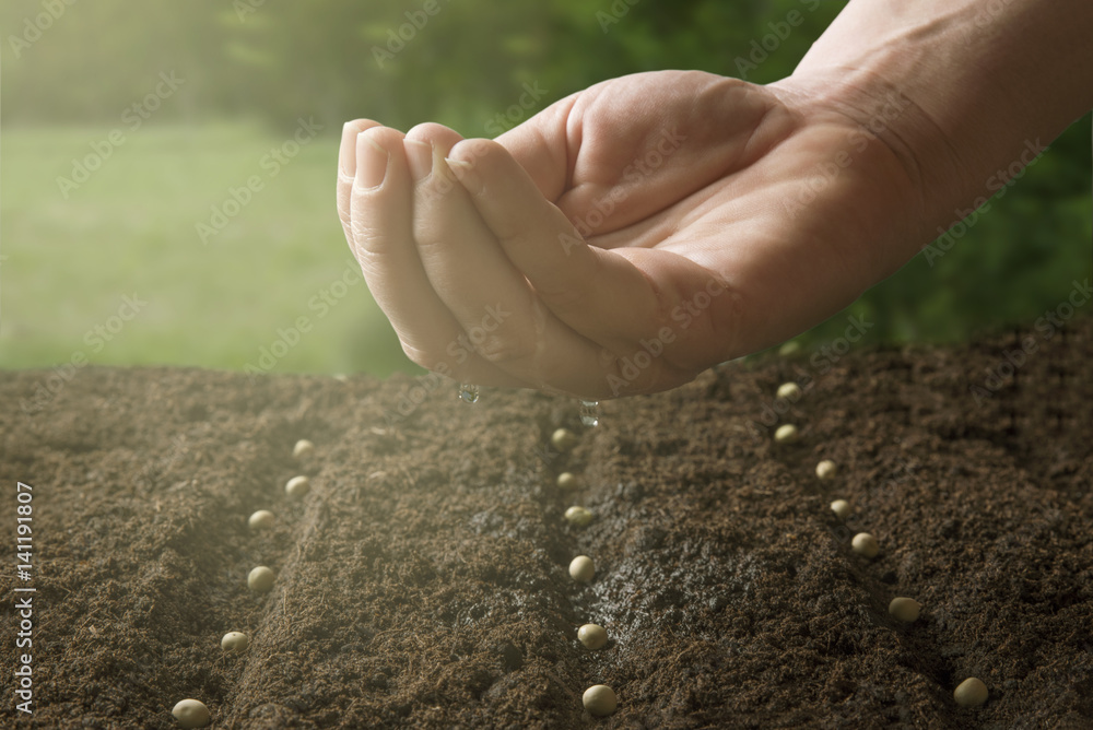 Manual watering seeds Manual watering seeds