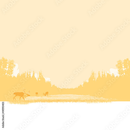 Caribou grazing a field or medow landscape surrounded by trees clouds & open sky