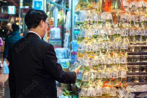 Local man examines the tropical fish at Hong Kong's Tung Choi Street goldfish market, Mong Kok, Hong Kong
