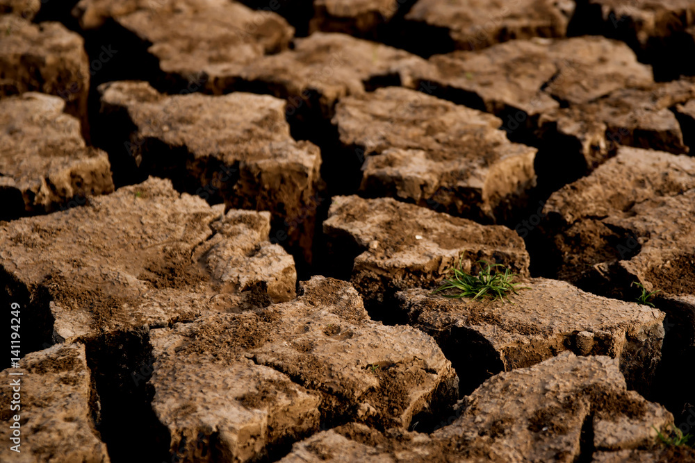 Drought and cracked clay ground in the dry season Drought and cracked clay ground in the dry season