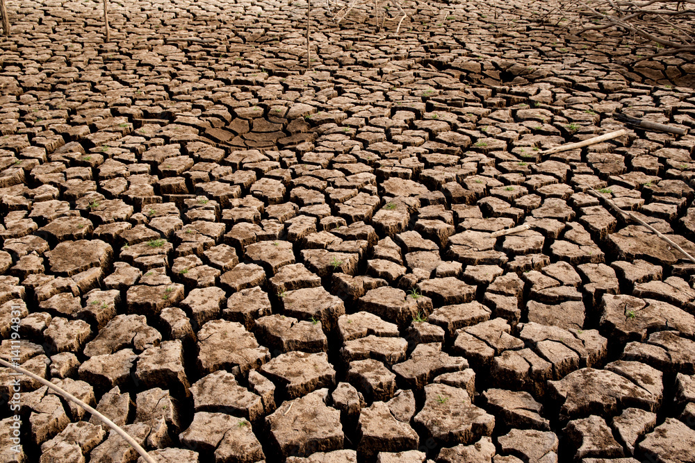 Drought and cracked clay ground in the dry season Drought and cracked clay ground in the dry season