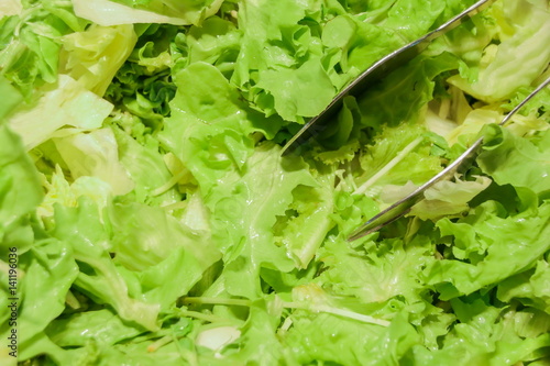 Obraz na płótnie Mix hydroponics vegetable w salonie