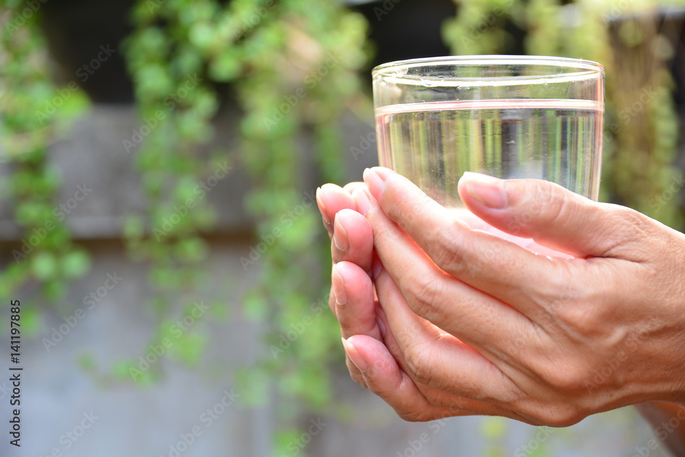 hands hold the glass and water in glass on nature background