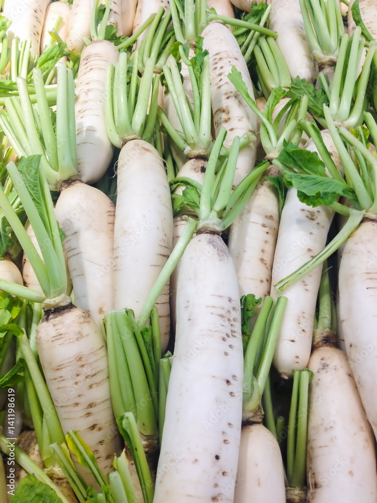 White radish